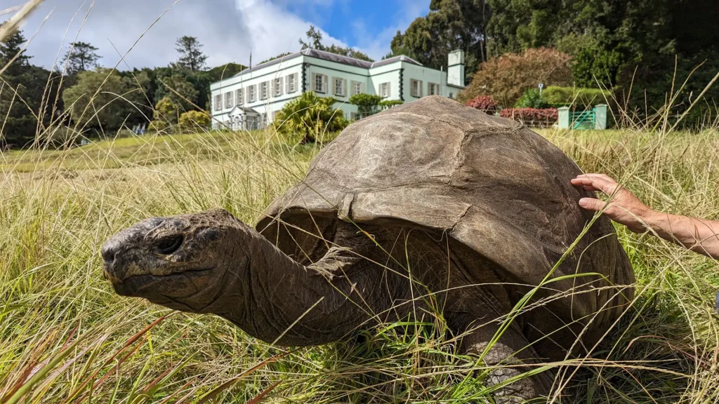 Plantation House St Helena